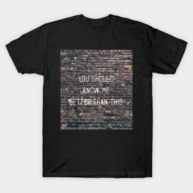 The National - I Should Live In Salt T-Shirt by TheN